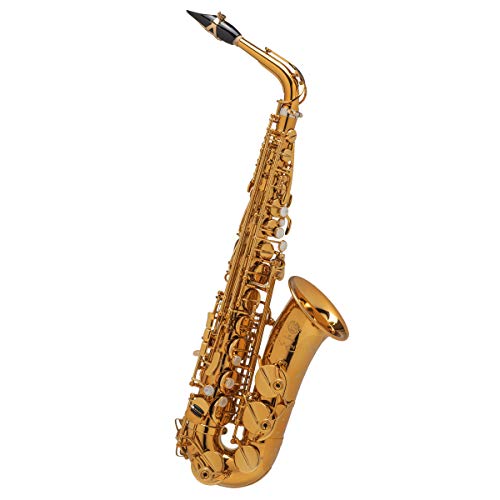 Amazon | H.SELMER セルマー/SUPREME シュプレーム アルトサックス DGL
