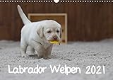 14 Seiten bestehend aus 1 Coverbild | 12 Monatsbilder | 1 Indexseite. Inklusive Papprücken hinten und vorderseitig einer Klarsichtfolie.