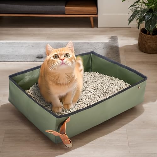 Inodoro portátil para gatos y transporte de mascotas en avión 3