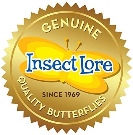 Insect Lore Butterfly Garden with 5 Live Baby Caterpillars - STEM Activity Journal, Habitat, Chrys-A-Lid Holder and Feeder Included | Raise and Release Painted Lady Butterflies — view 11