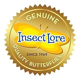 Insect Lore Butterfly Garden Kit - 5 Live Baby Caterpillars, Habitat, Feeder, Chrys-A-Lid Log, STEM Journal Included - Grow, Raise and Release Painted Lady Butterflies