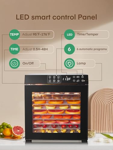 Electric Food Dehydrator 10 Trays