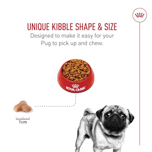 ROYAL CANIN Breed Health Nutrition Pug Adult Dry Dog Food, 10-Pound by Royal Canin