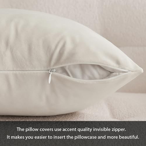 Image of MIULEE Velvet Throw Pillow Covers 12x20 Inch, Pack of 2 - Cream White, Soft Solid Lumbar Decorative Pillow Covers Modern Luxury Home Decor for Spring Couch Sofa Bedroom Livingroom