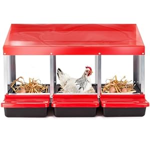 Chicken Nesting Boxes for Laying Eggs, 3-Compartment Roll-Away Nesting Boxes for Chickens Coop with Perch, Hens, Ducks & Other Poultry, Includes 3 Wooden Dummy Eggs