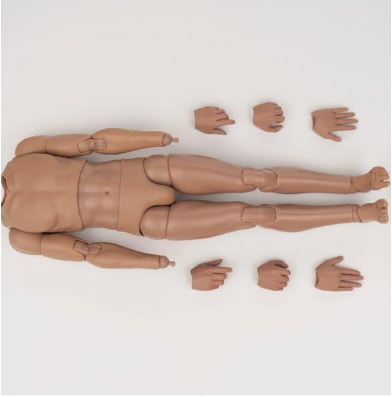 ximitoy 1/6 Male Soldier Body Hands Model for 12" Action Figures