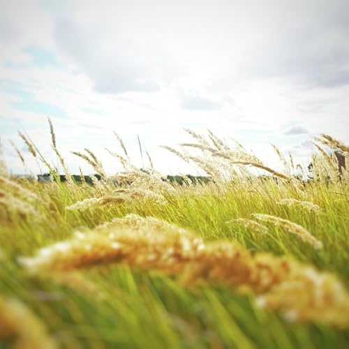 A new campaign launched to tackle farm safety around the Goulburn Valley