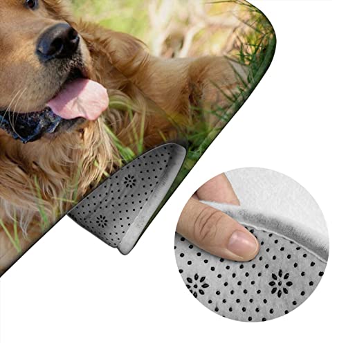 DIRYKILP Badematte + Konturmatte + Toilettendeckelbezug, Hund Golden Retriever 3 Stück Badematte Set, mit rutschfester Klebeunterseite – Bild 6