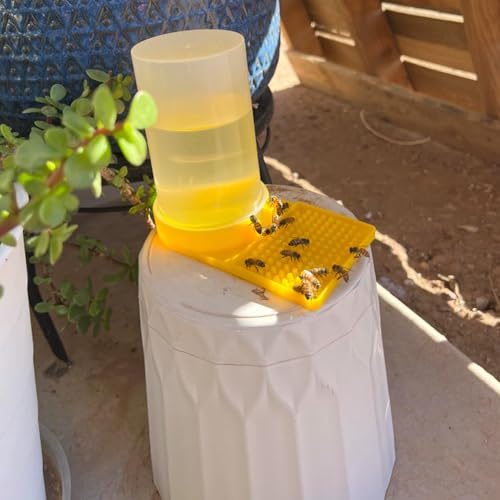 Image of 2 Pack Bee Water Feeder Beehive Beekeeping Water Beehive Entrance Feeder Drinking Beekeeping Butterfly Bath Bowl Bee Watering Station for Outdoor Garden Yard Decor