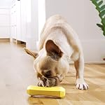 Playology Dog Toys | Squeaky Chew Stick for Dogs | Chicken Scented Medium Fetch Toy | Squeaky Dog Chew Toy - Image 3
