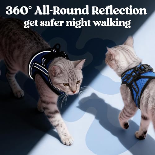 Image of rabbitgoo Cat Harness and Leash Set, Step-in Soft Vest, Blue | Escape Proof, Lightweight, Easy-on & Adjustable, Hook & Loop with Buckle, Reflective, for Small Cats Walks, XL