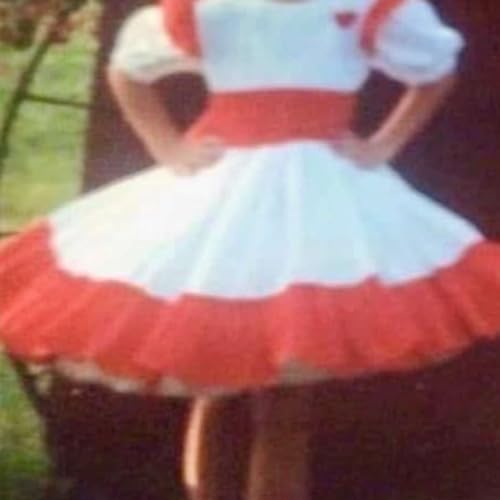 Court Clips: The Big Red Poofy Dress