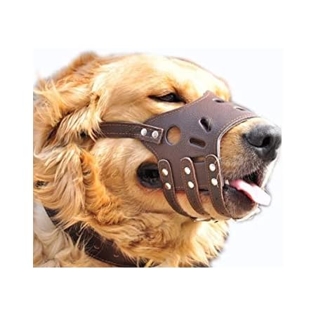 using a muzzle to stop barking