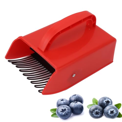 Gsycle Cueilleur de Baies avec Peigne métallique, poignée Ergonomique, cueilleur de myrtilles, Outil de cueillette de Baies en Bois, Pics de mûres, cueilleur de Fruits pour myrtilles,