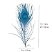 20pcs Turquoise Blue Peacock Feathers 10-12Inch Feather for Crafts Hat Costume Christmas Tree Decor Wedding Holiday Decoration Floral Arrangements
