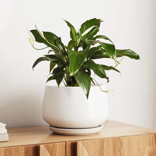 LE TAUCI Blumentopf Keramik, 25 cm Übertopf für Pflanzen, Pflanztopf mit Drainagelöchern und Untersetzer, Stilvoll und Langlebig, Blumentopf für Innenbereiche, Geschenk für Mama, Reaktive Glasur Weiß