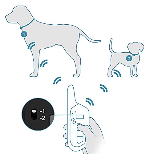 Télécommande et collier PetTec