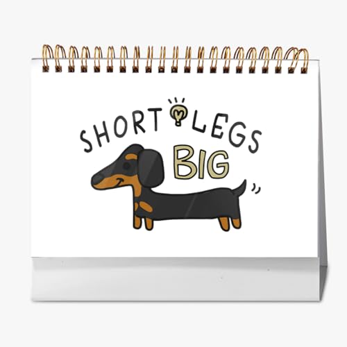 2026N J_[ _bNXth  ԃJ_[ y[W߂ V{J_[ p [ 360° ^ fXNgbv  v搮 v[g 2025N9?2026N12