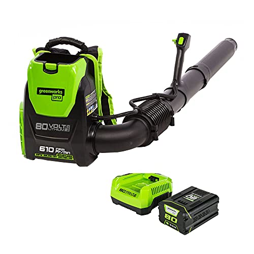 Best Stihl Battery Backpack Blower