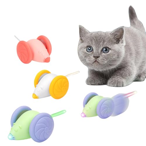 POERDS L 2024N lY~ EBLbhE}EXEvX lV d L̃C^YF C^NeBu [d ȒP [Xs[h OȂ Ԃ XgX (O[)