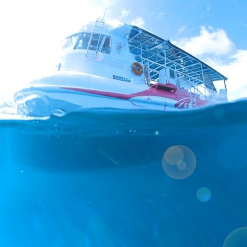 海中観光船 ブルーマリン号 乗船券 大人 1名様 グラスボート レジャー マリンジャム 竹ヶ島 竹ケ島 四国 徳島 徳島県 海陽 海陽町