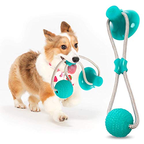 AIDIYA Juguete para Perros Juguete de Bola de Cuerda de tirón para Perros Duradero con Ventosa: jalar, Masticar, Jugar, Perros y Cachorros Adultos (Verde)