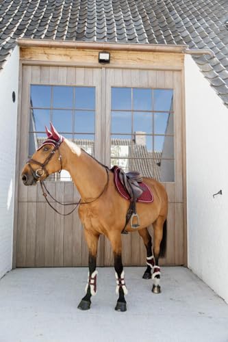 Protège boulet Young horses Velvet bordeaux de qualité supérieure