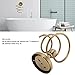 Ylwxzenith Antique Brass Spiral Hair Dryer Holder, Wall Mounted Hair Care Tools Hanger, Bronze Finished Strong Load Bearing Rack for Bathroom Organization