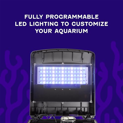 Image of Coralife SMART BioCube Jr, Aquarium Kit, Wi-Fi and Bluetooth Compatible, for Saltwater and Freshwater Environments, 14 Gallons