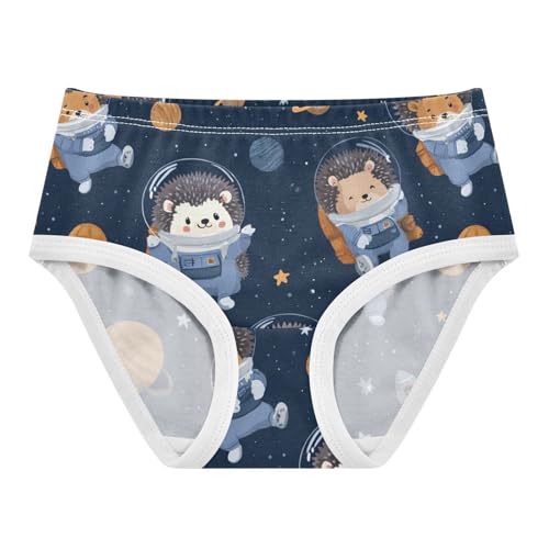 Wusikd Hedgehog Astronauts Girls' Underwear Cotton Space Girls Briefs Soft Toddler Underwear 2T