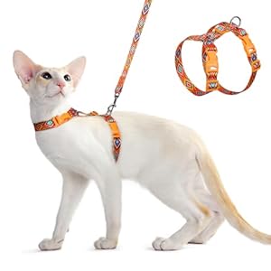 Dooradar Cat Harness and Leash, Escape Proof Adjustable Kitten Harness, Lightweight Soft Pet Harness, Easy Wearing for Small Medium Cats Safe Walking Travel Control, Orange & Black, S