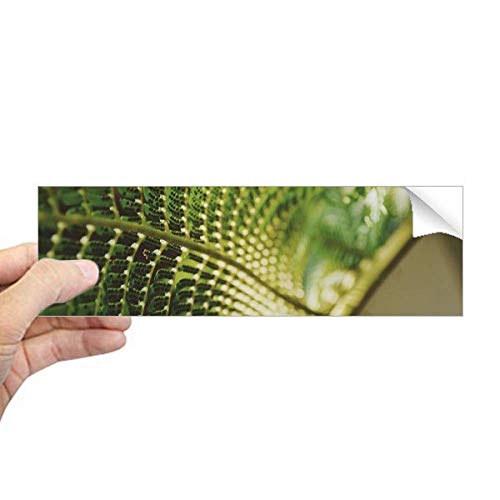 Autocollant rectangulaire feuilles pour fenêtre et vitrage de maison DIYthinker
