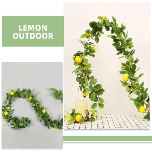 Guirnalda de limón decorativa para salones y fiestas de verano 8