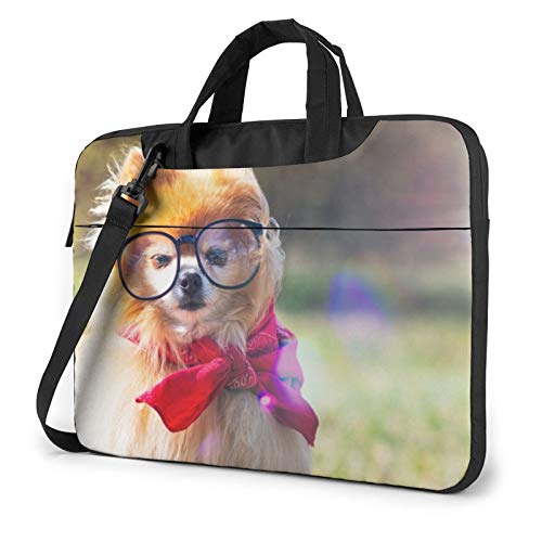 DADABULIU p\R P[X m[gp\RP[X |jA Ԃ XJ[t uh  ӂӂ PCobO  Jo360°ی ϏՌ [ ^ 킢 13 / 14 / 15.6 C` rWlXobO ʋ ʊw 