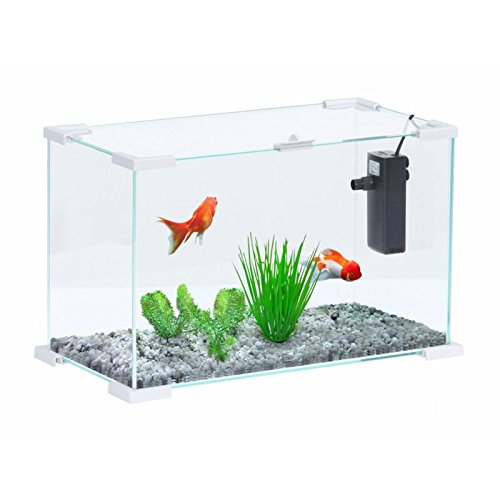 Zolux nanolife First 20 wit