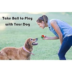 Vehomy-8Pcs-Christmas-Dog-Tennis-Balls-Dog-Xmas-Squeaky-Tennis-Ball-Toy-Xmas-Green-and-Red-Puppy-Interactive-Toys-for-Small-Medium-Dogs-Training-Playing - Cucciolini Doodles   Vehomy-8Pcs-Christmas-Dog-Tennis-Balls-Dog-Xmas-Squeaky-Tennis-Ball-Toy-Xmas-Green-and-Red-Puppy-Interactive-Toys-for-Small-Medium-Dogs-Training-Playing