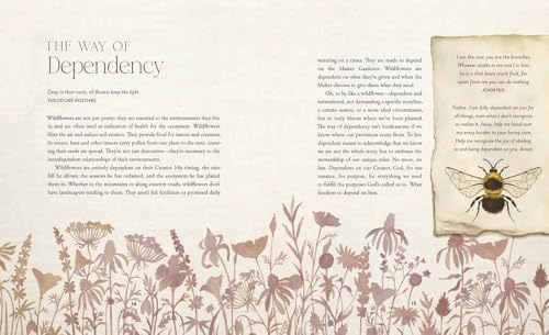 Image of The Way of the Wildflower: Gospel Meditations to Unburden Your Anxious Soul
