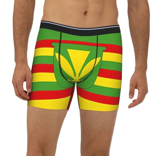 Native Hawaiian Flag Men's boxer briefs, high-elastic, breathable fabric, multiple sizes (S-2XL)2