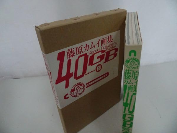 Amazon.co.jp: 藤原カムイ画集 40GB sideA sideB 2冊セット : おもちゃ
