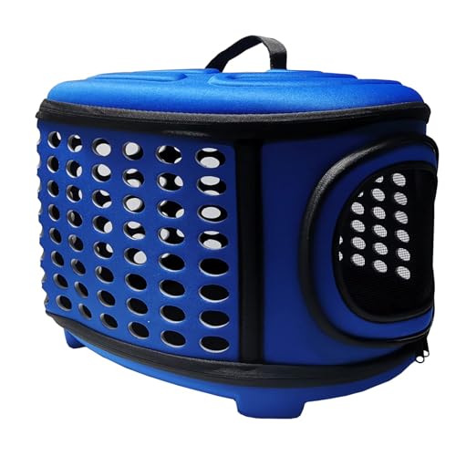 ܂肽ݎLbgLA n[hAspybgLAobO ^p  s Ct bg 2C ^LLA P[W pN[g(u[)