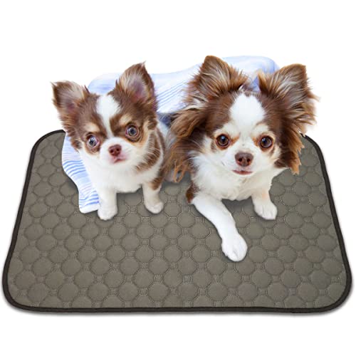 INULABO(イヌラボ) 洗える ペットシーツ ワイドサイズ おしっこマット ペットマット 丸ごと洗える 繰り返し使える 【健康状態の変化に気づける】 (ワイド(2枚セット), グレー)