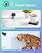 LuminiCam Mini Camera Wireless 1080P Wi-Fi Hidden Camera for Indoor Security Pet Monitoring, Motion Detection & Night Vision Nanny Cam Pet Cameras