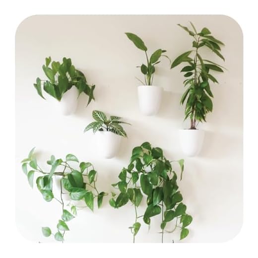 PlantPod Luxe - Self-Watering Wall Planters (Set of 6) - Easy to Water and Install - Lightweight - Design Your Own Vertical Garden - Wall Planters for Indoor Plants