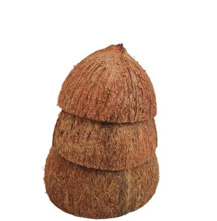 BNs Coconut Shell (Fully Cleaned, Pack of 6)