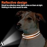 Joytale Halsband Hund, Gepolstertes Hundehalsband Breit aus Neopren Nylon Hundehalsband Verstellbar für Mittelgroße Hunde, Weich und Reflektierend Hundehalsbänder, M, Orange
