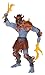 HEMAN Masters of The Universe : Evil Warriors Action Figure : Fire Armor Skeletor