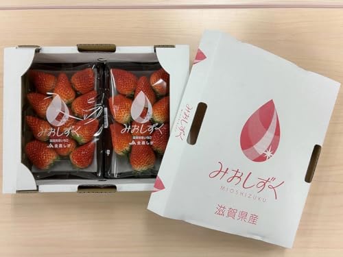 いちご みおしずく 2箱4パック入り 株式会社東近江あぐりステーション A-B26