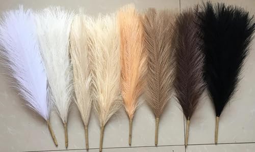 Decoración Boho con Pasto Pampas 3 piezas 45 cm Negro miniatura 3