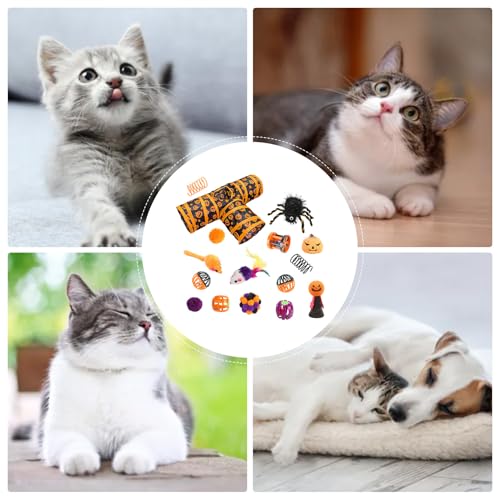 Halloween Cat Channel Toy Set- Interactive Tunnel Play, 3- Wege- Aktivitäts- Set | Bell Ball Pest Kitten Toy, Indoor Rabbit Entertainment, Foldable Cat Play Tunnel, Festival Holiday Fun Ac-4