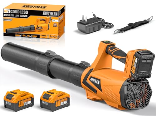 Alloyman 40V Battery Powered Leaf Blower Cordless with 2×2.0Ah Battery and Charger, 650CFM Brushless Handheld Blowers, 3 Speed+Turbo Mode Electric Leaf Blower for Lawn Care, Leaves, Dust, Snow